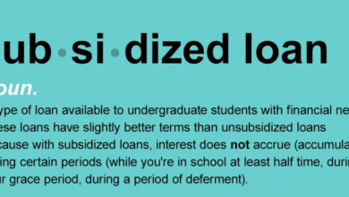 what is a subsidized loan