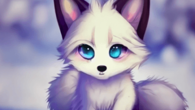 Anime:Ek4iivsx76k= Cute:5-Pkvybncy4= Foxes